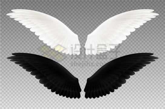 两对白色和黑色的翅膀png图片免抠矢量素材