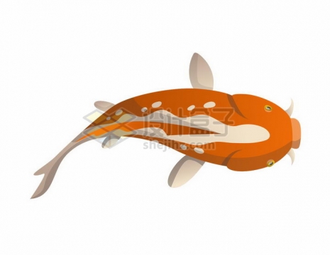 俯视视角的橙色卡通鲤鱼锦鲤png图片免抠矢量素材
