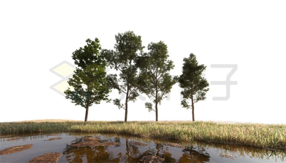 沼泽湿地草地上的大树风景1851927PSD免抠图片素材