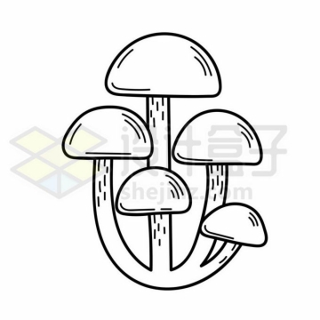 一丛香菇蘑菇线条简笔画6962658矢量图片免抠素材