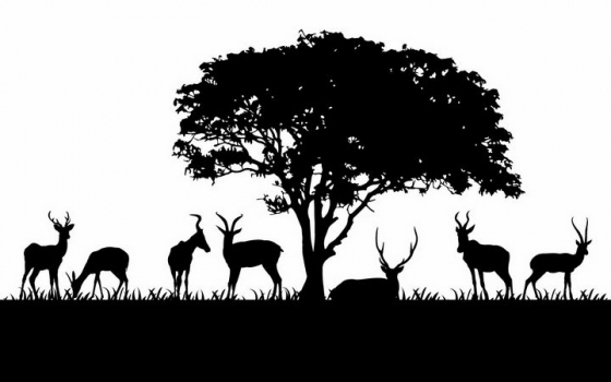 非洲大草原大树下的草地上一群正在吃草的羚羊非洲野生动物剪影png图片免抠矢量素材