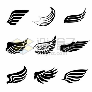 9款黑色手绘风格翅膀羽毛图案png图片素材