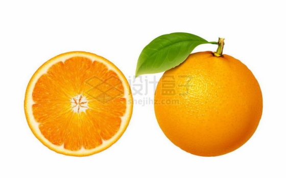 完整和切开的橙子美味水果6472882矢量图片免抠素材