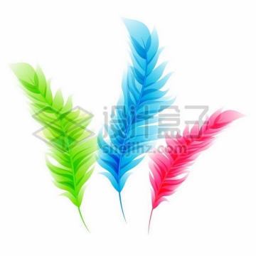 绿色蓝色红色鸟类羽毛扁平插画png图片素材