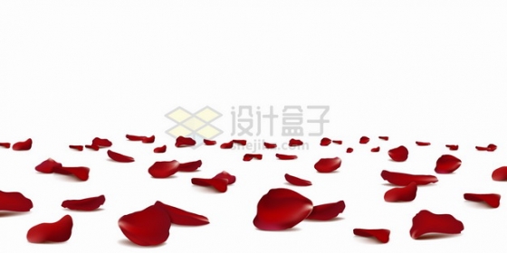 散落一地的红色玫瑰花花瓣png图片素材