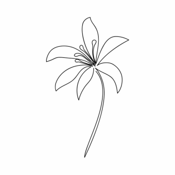 一根线条盛开的花朵手绘插画简笔画911880png图片素材
