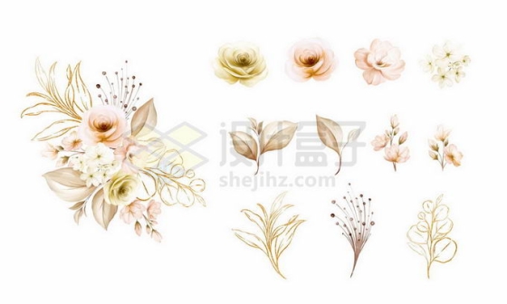 各种金色花朵鲜花树叶水彩画装饰6919596矢量图片免抠素材