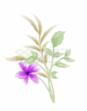 紫色花朵叶子手绘水彩画6280755矢量图片免抠素材