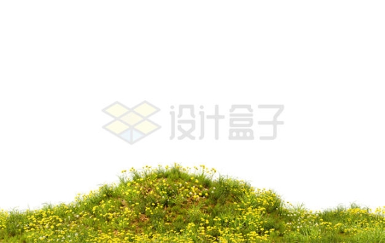 小山坡上的草地中开满了黄色野花1659866PSD免抠图片素材
