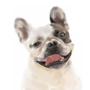 超可爱的法国斗牛犬宠物狗狗头部水彩画插画2978954矢量图片免抠素材
