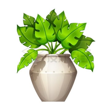 卡通罐子花盆中的绿叶植物观赏绿植4919982矢量图片免抠素材