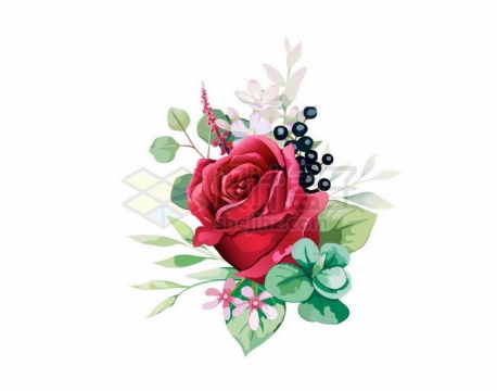 盛开的红色玫瑰花水彩画2627568矢量图片免抠素材