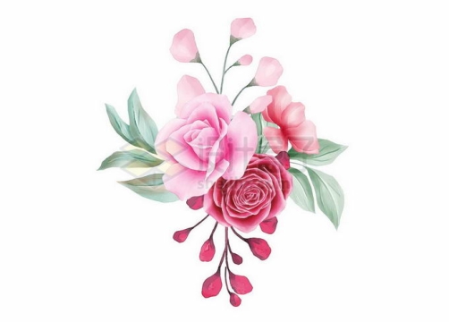 盛开的粉色红色玫瑰花和绿叶水彩画3296061矢量图片免抠素材