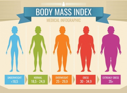 彩色减肥身体质量指数BMI对照表示意图免扣图片素材