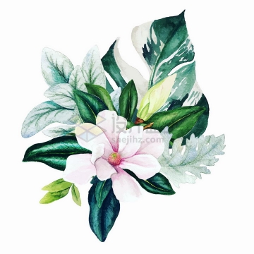 一束玉兰花鲜花花朵花卉和龟背竹水彩插画png图片素材