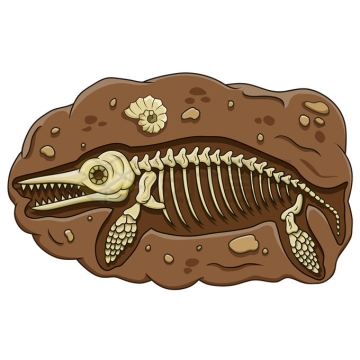 卡通鱼龙化石已灭绝海栖爬行动物古生物插画1690554矢量图片免抠素材