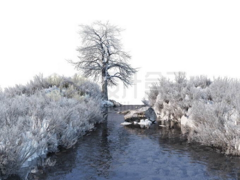冬天被积雪覆盖的灌木丛和大树以及潺潺流水的小河小溪风景5507354免抠图片素材免费下载