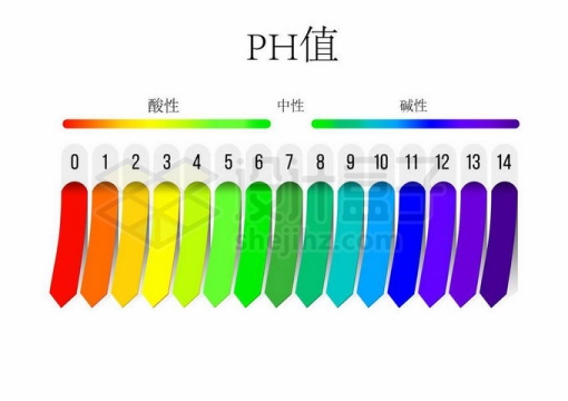 PH值酸碱度测试表高中初中化学教学配图6864906矢量图片免抠素材