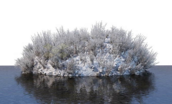 冬天被积雪覆盖的湖心小岛上的灌木丛和大树风景6023301免抠图片素材免费下载