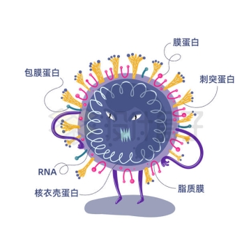卡通新冠病毒内部结构示意图1912693矢量图片免抠素材
