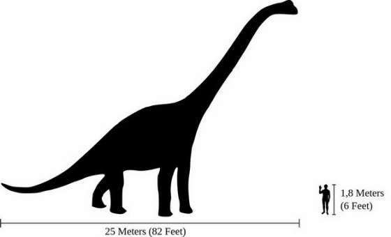 巨大的雷龙蜥脚类恐龙和人类大小对比图3701612png图片免抠素材