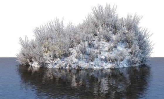 冬天被积雪覆盖的湖心小岛上的灌木丛和大树风景6162125免抠图片素材免费下载