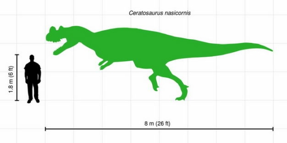 异特龙霸王龙肉食恐龙和人类大小对比图3393048png图片免抠素材