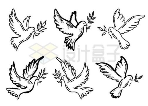 6款手绘线条和平鸽衔着橄榄枝象征了世界和平插画7881003矢量图片免抠