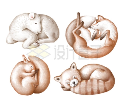 蜷缩睡觉的卡通绵羊狐狸松鼠和小熊猫可爱动物4782932PSD图片素材