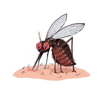 卡通蚊子正在吸血手绘插画6971360免抠图片素材