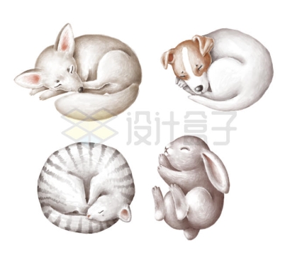 蜷缩睡觉的卡通狐狸宠物狗猫咪和小兔子可爱动物2181196PSD图片素材