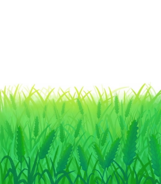 绿色的小麦田地青麦1710291png免抠图片素材