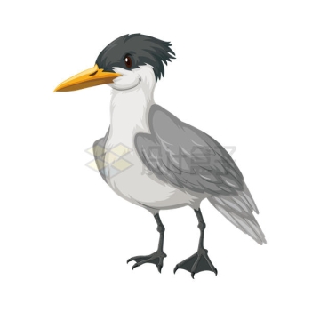 一只卡通水鸟海鸥7986517矢量图片免抠素材