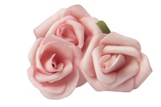 3朵盛开的粉色玫瑰花美丽花朵5801274png免抠图片素材