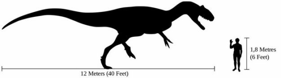 霸王龙暴龙科食肉恐龙和人类大小对比图5328437png图片免抠素材