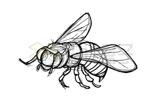 手绘涂鸦风格蜜蜂素描勾勒的昆虫插画8341443矢量图片免抠素材