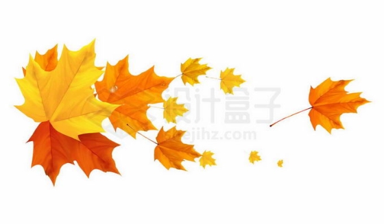 深秋变红变黄的枫叶树叶9506459免抠图片素材