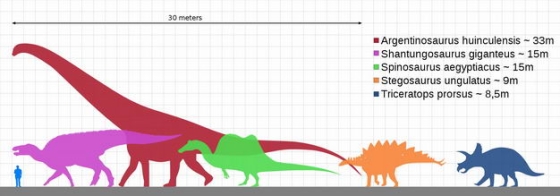 腕龙鸭嘴龙棘龙剑龙三角龙等恐龙和人类大小对比图8230285png图片免抠素材