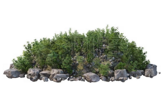 乱石堆上的低矮灌木丛和石头3672727PSD免抠图片素材