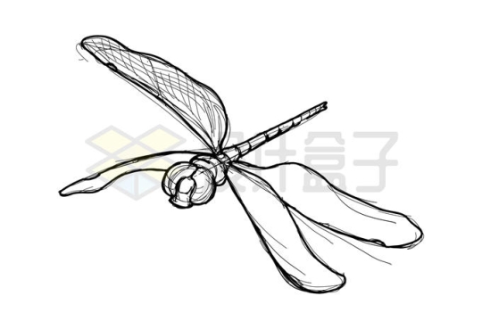 手绘涂鸦风格蜻蜓素描勾勒的昆虫插画7801389矢量图片免抠素材