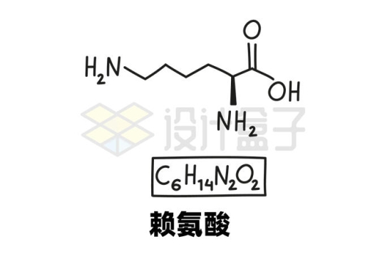 赖氨酸C6H14N2O2化学方程式和分子结构式手绘风格氨基酸5613201矢量图片免抠素材