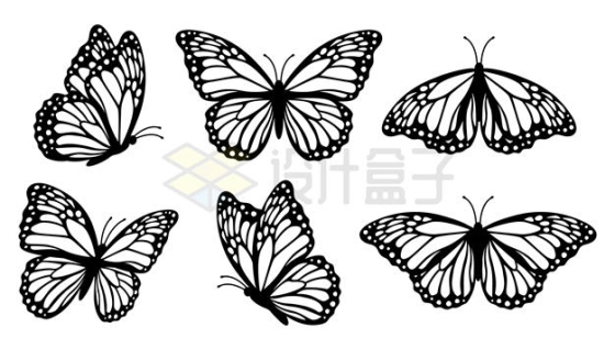 6款黑白色的蝴蝶图案3987103矢量图片免抠素材