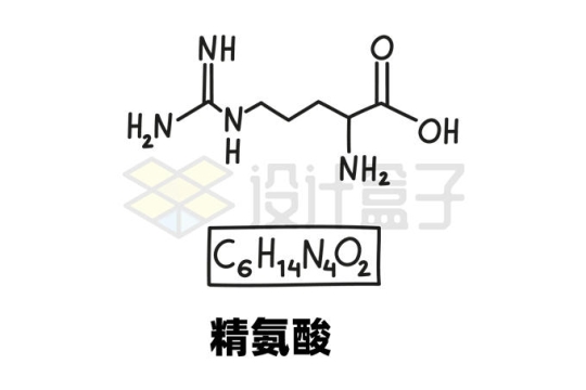 精氨酸C6H14N4O2化学方程式和分子结构式手绘风格氨基酸2883431矢量图片免抠素材