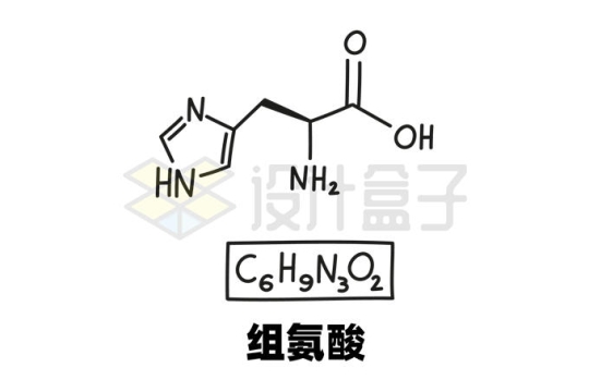 组氨酸C6H9N3O2化学方程式和分子结构式手绘风格氨基酸1411731矢量图片免抠素材