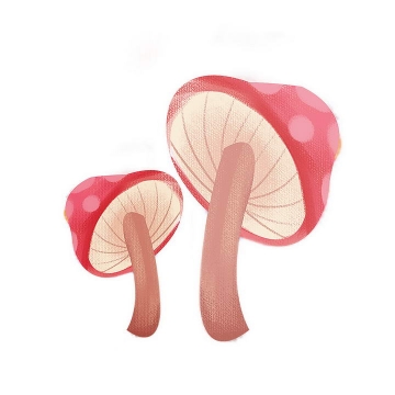 彩色手绘风格蘑菇图片免抠素材