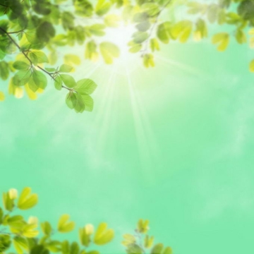 夏天夏日中午强烈阳光照射下的树冠绿色树叶装饰边框1247162免抠图片素材