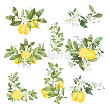 枝头上的新鲜黄柠檬和花朵树叶1857963矢量图片免抠素材