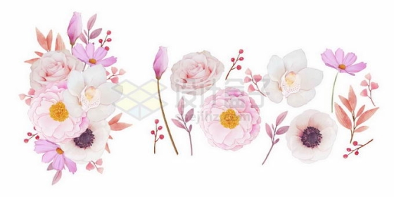 各种淡粉色的鲜花花朵2015006矢量图片免抠素材