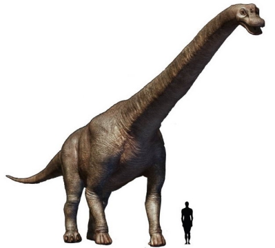 腕龙巨型恐龙和人类大小对比图1921205png图片免抠素材