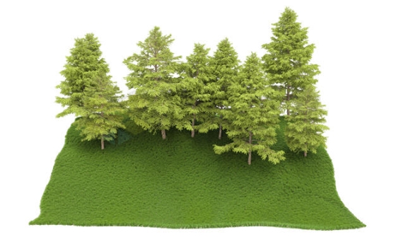 山坡上的大树森林树林3D渲染图7784739PSD免抠图片素材